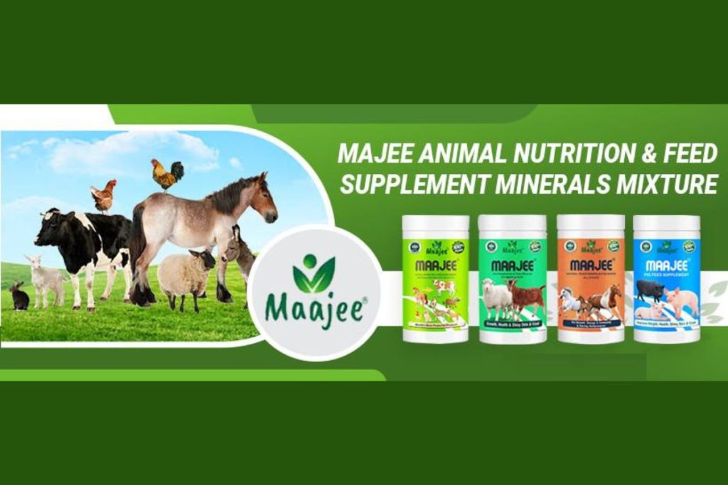 animal nutrition and feed supplement